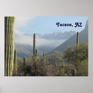 Póster Deserto de Tucson