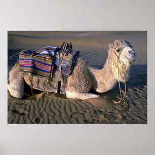 Póster Deserto do Sara perto de Merzouga, Marrocos