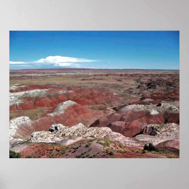 Poster Deserto Pintado (Frente)