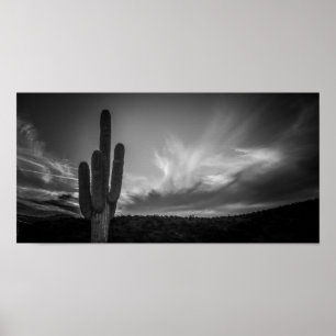 Poster deserto preto