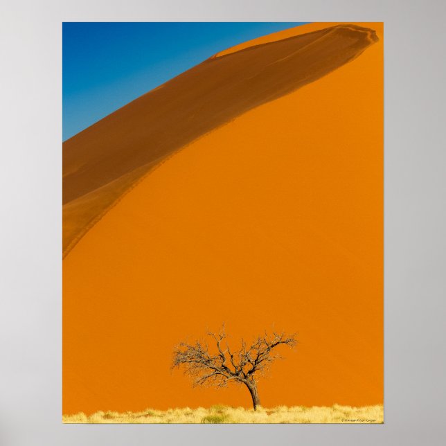 Poster Deserto Vermelho da Namíbia (Frente)