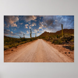 Poster Desertos   Arizona do Parque Nacional Saguaro