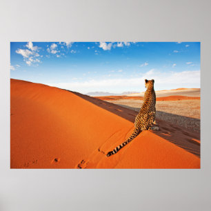 Poster Desertos Deserto Cheetah Savannah