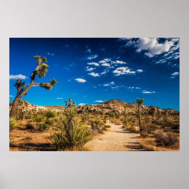 Poster Desertos | Parque Nacional Joshua Tree (Frente)
