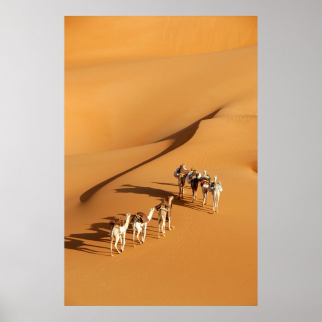 Poster Desertos | Tuareg Walk com Camels (Frente)