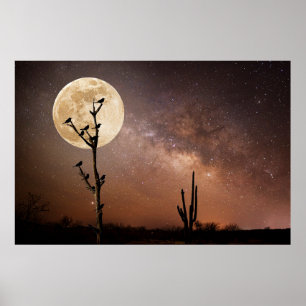 Poster Deserts Saguaro Cactus With Birds in Desert