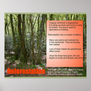 Póster Desflorestamento da ciência da vida da ciência