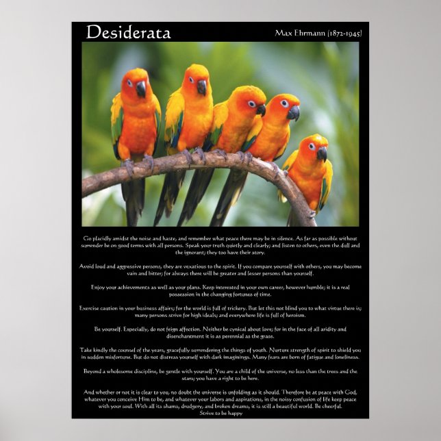 Póster Desiderata 5 laranja e canário verde (Frente)
