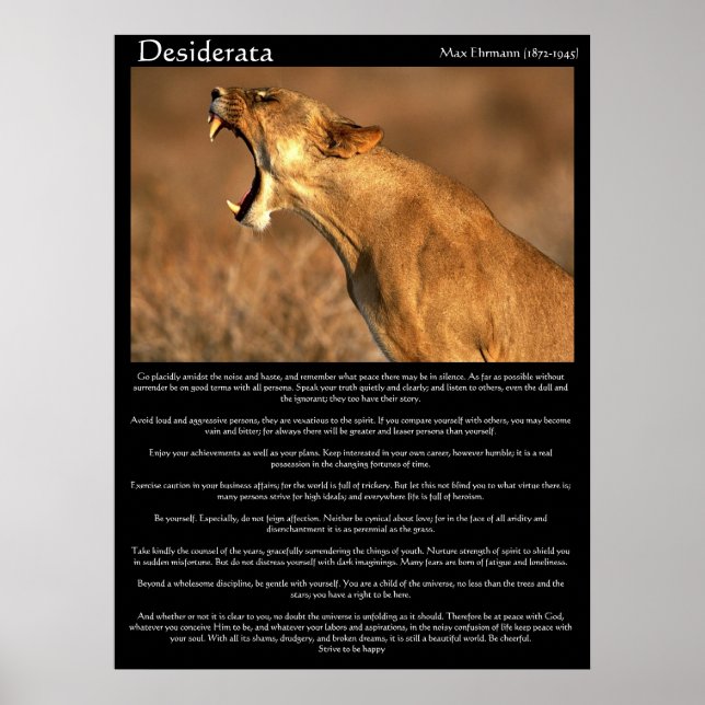 Poster Desiderata cougar mostrando seus dentes (Frente)