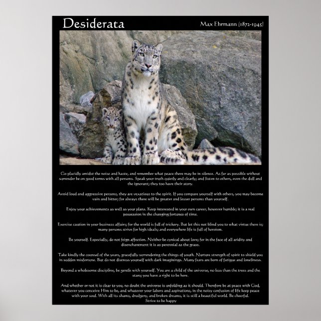 Poster Desiderata dois chitas na montanha (Frente)