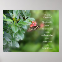 Desiderata em Foto de borboleta de asa-zebra