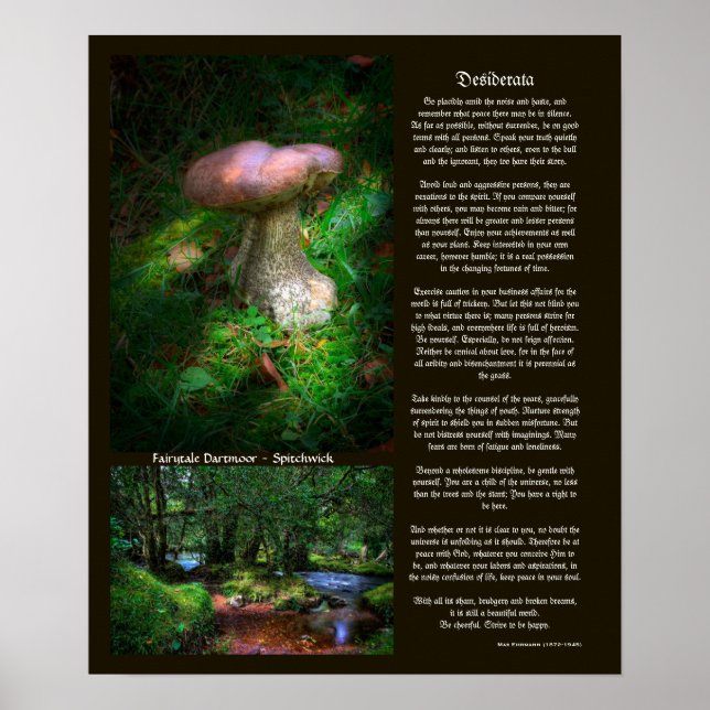 Póster Desiderata - Luzes Ocultas do Conto Justo Dartmoor (Frente)