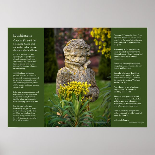 Póster Desiderata - Menino com Primavera Posy, estátua de (Frente)