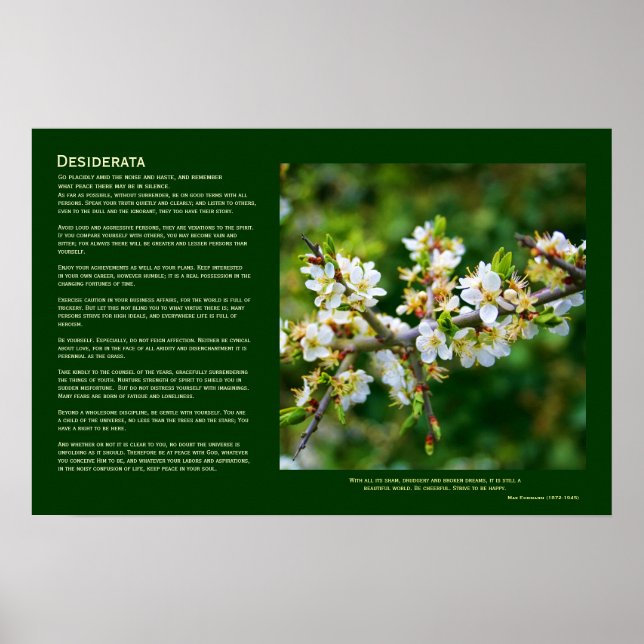 Póster Desiderata - Primavera Hawthorn Solo-Aplicado (Frente)