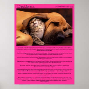 Poster Desiderata sob os Posters-cama do ouvido do beagle