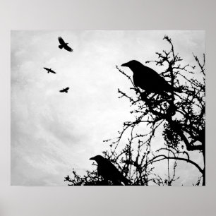Póster Design 43 corvo