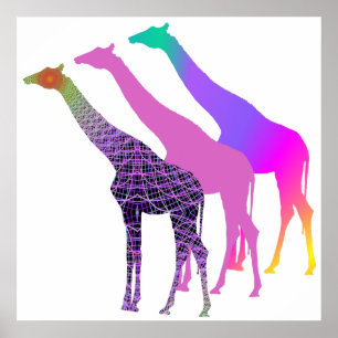 Póster Design 4 de três girafas