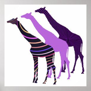 Póster Design 5 de três girafas