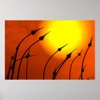 Poster Design da natureza