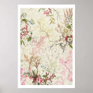 Póster Design de algas marinhas para matérias de seda (m/