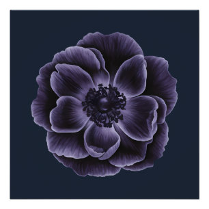 Póster Design de Arte Botânica com Bloom Puro Escuro