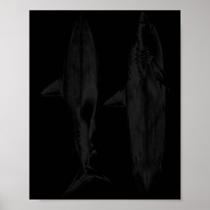 Poster design de barbatana de prancha de surfe de tubarão