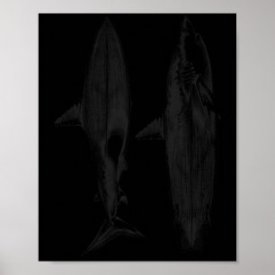 Poster design de barbatana de prancha de tubarão surfista