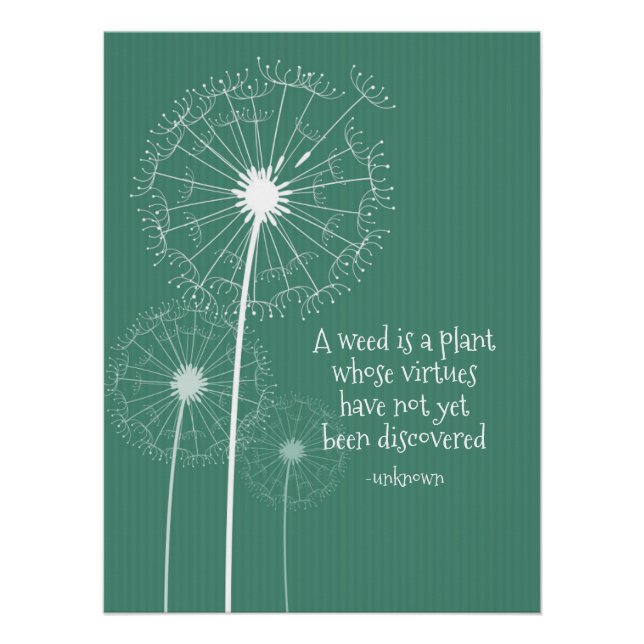 Póster Design de Dandelion (Frente)