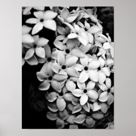 Poster Design de Flores e Jardins Vintage