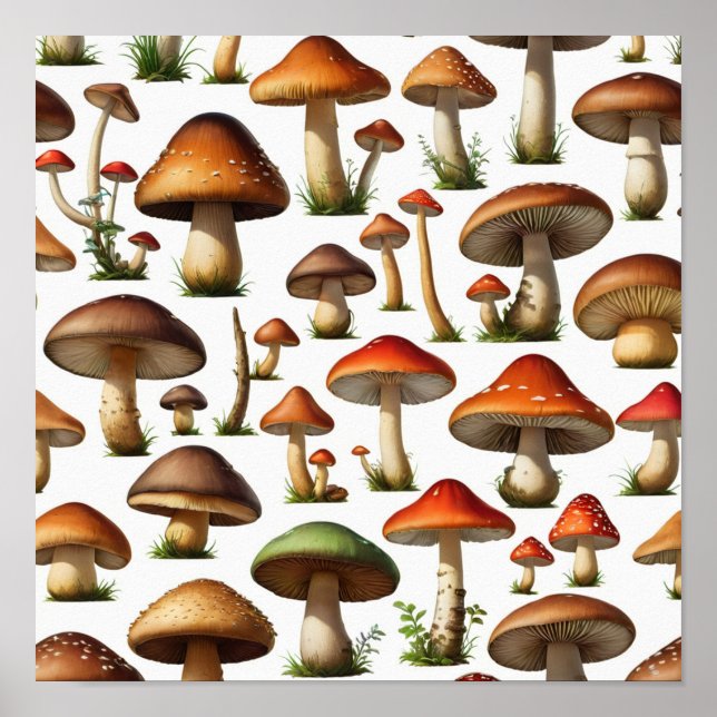 Poster Design de Padrão de Coleta de Cogumelos (Frente)