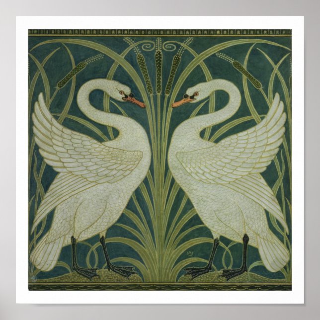 Póster design de papel de parede 'Swan, Rush e Iris' (Frente)