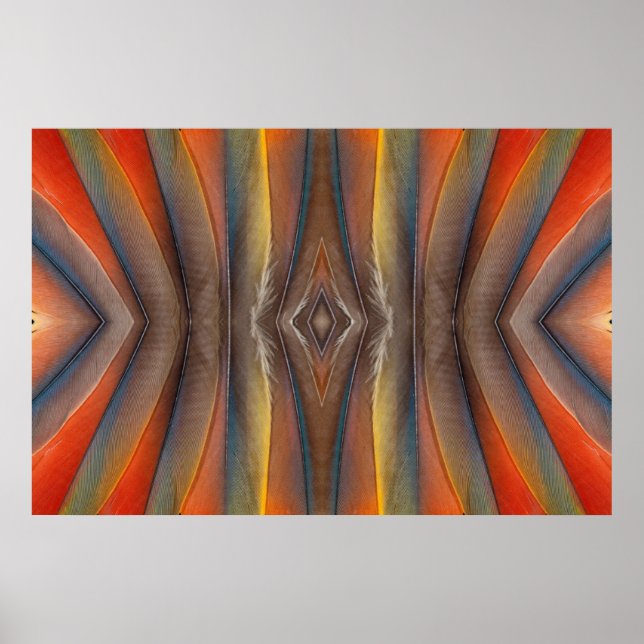 Póster Design de penas de escarlet Macaw (Frente)