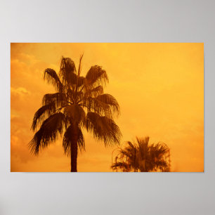 Poster Design de praia de palmeira de Verão