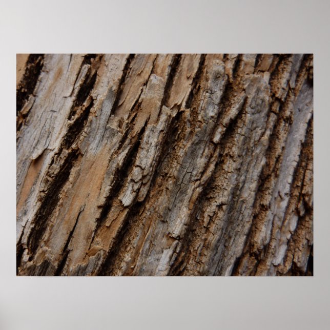Póster Design de Textura Abstrata Natural da Casca da Árv (Frente)