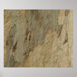 Poster Design de Textura Abstrata Natural da Casca de Árv