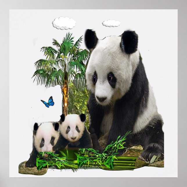 Poster Design de urso Panda (Frente)