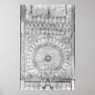 Poster Design para a janela rosa e galeria de