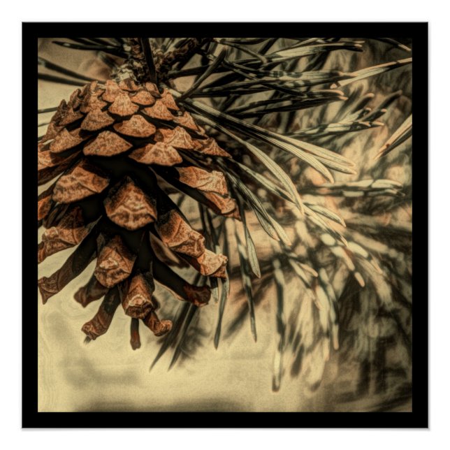 Póster Design Rústico Pine Cone (Frente)