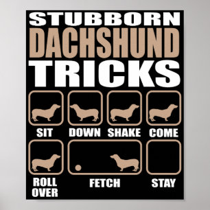 Poster Design teimoso dos truques do Dachshund