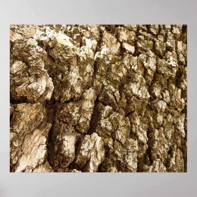 Póster Design Texturizado Natural de Casca de Árvore II (Frente)