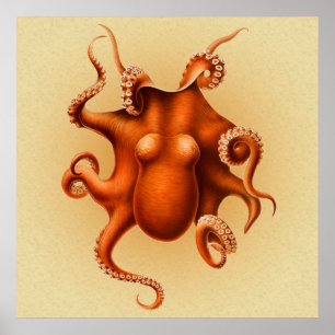 Póster Design vermelho do vintage do cefalópode do polvo