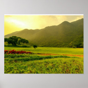 Poster designs de papel de parede naturais adequados a to