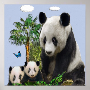 Poster designs de urso Panda