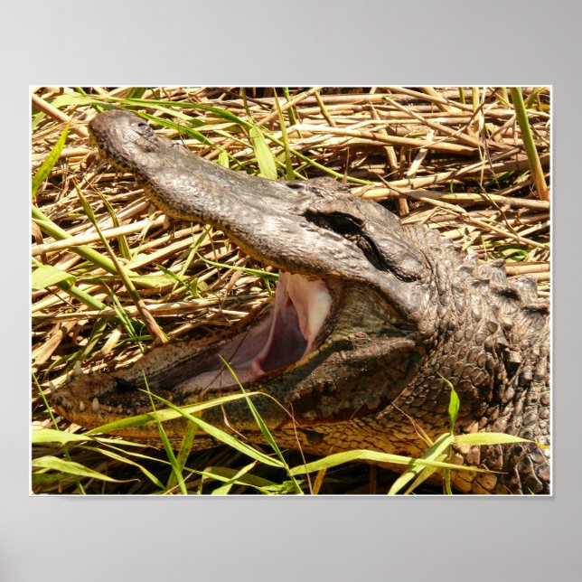 Póster Desligar (Frente)