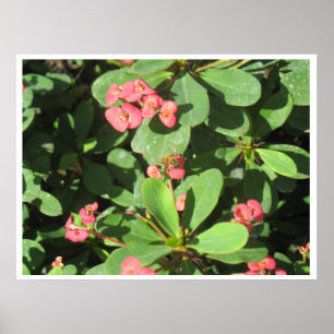 Póster Desligue! Pôster