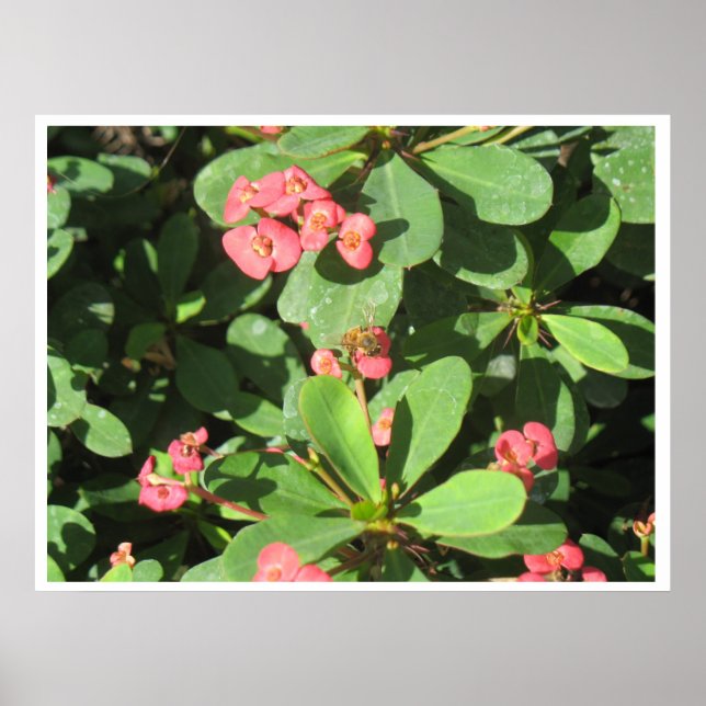 Póster Desligue! Pôster (Frente)