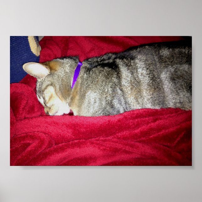 Póster Desmaiado Indigo (Frente)