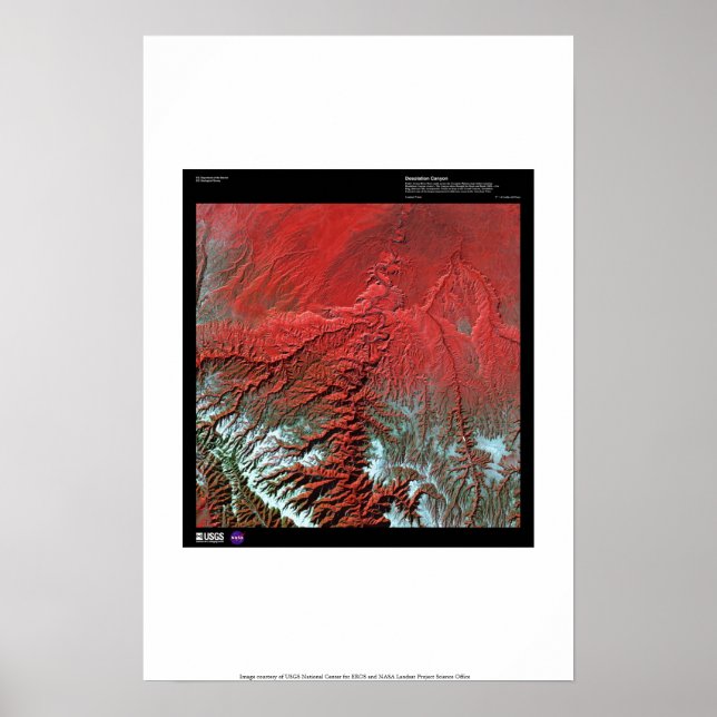 Póster Desolação Canyon Utah (Frente)