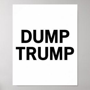 Poster Despejar Trump _2