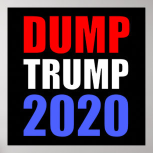Poster Despejar Trump 2020 Anti-Trump